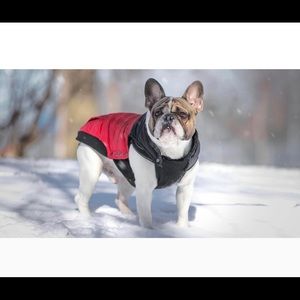 Canada Pooch Summit Stretch Vest-Red